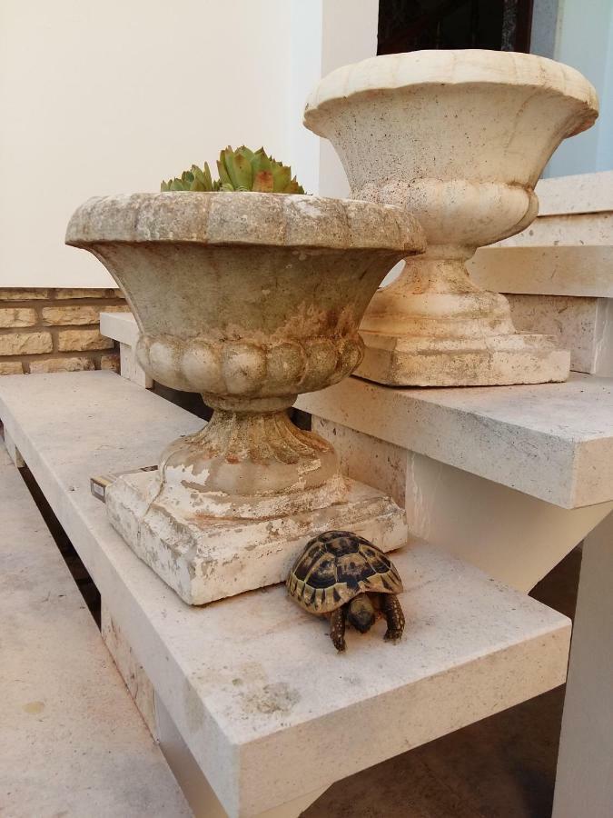 Villa Feodora Biograd Na Moru Eksteriør bilde